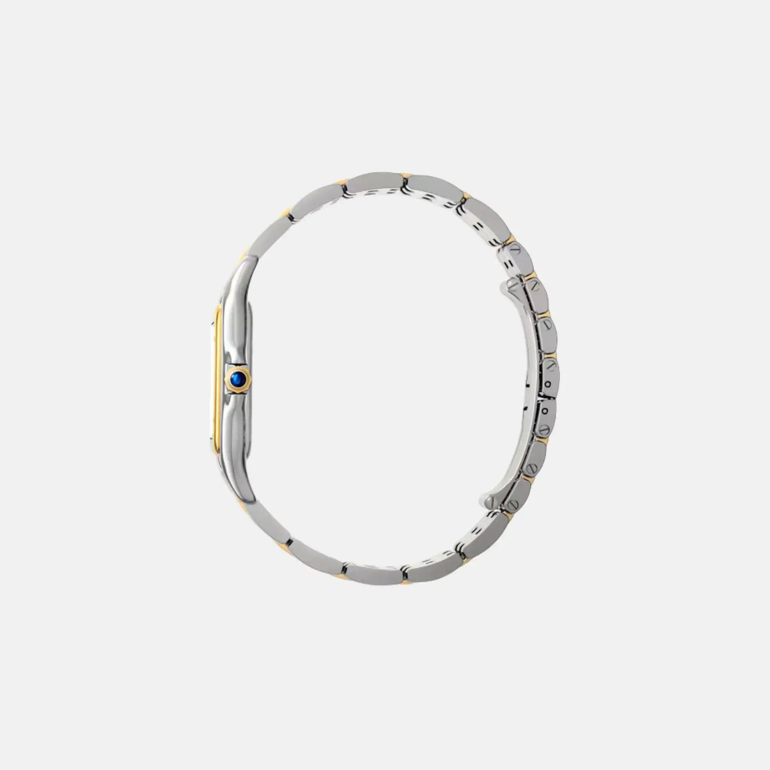 Cartier Panthere Large Model Yellow Gold Steel W2PN0012, Side