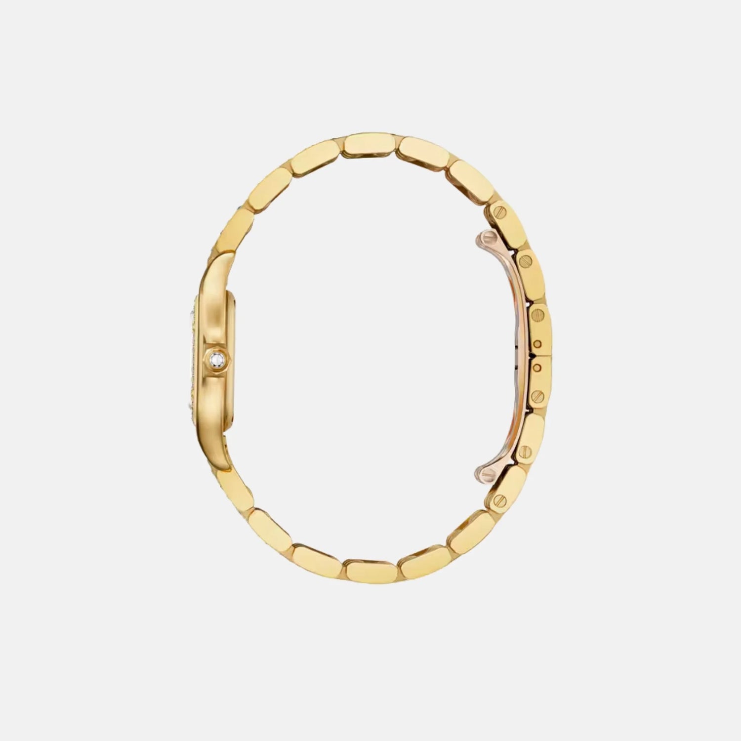 Cartier Panthere Small 18K Yellow Gold Diamond Set WJPN0059, Side