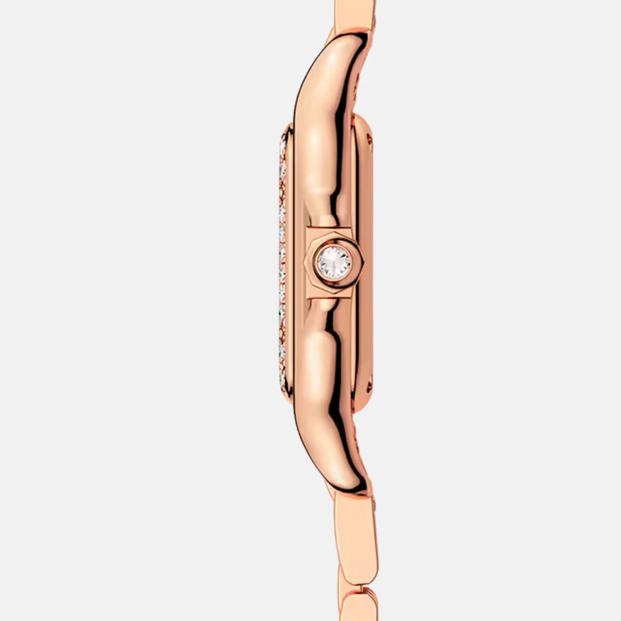 Cartier Panthere Small Model Rose Gold Diamond Set WJPN0008, Side