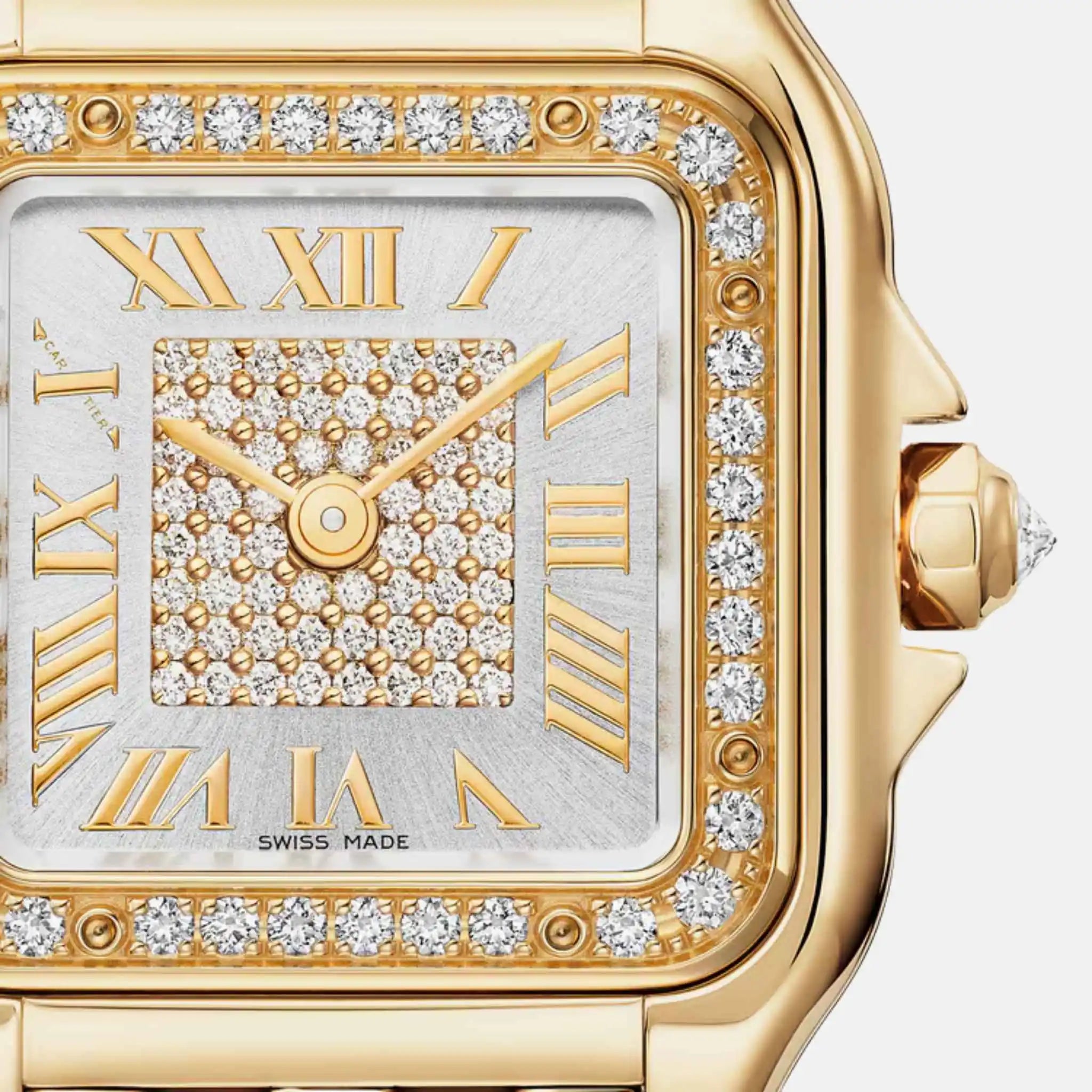 Cartier Panthere Small Model Yellow Gold Diamond Set WJPN0080, Close