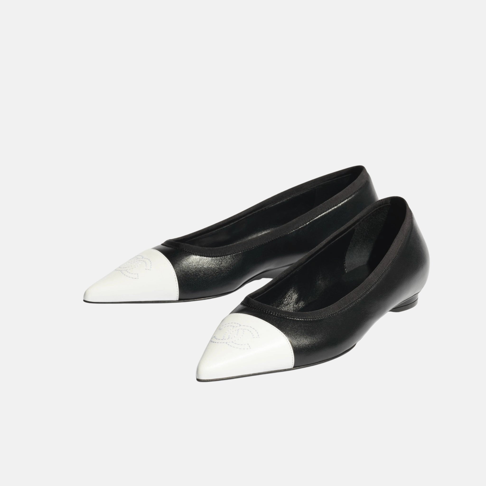 Ballet Flats in Iridescent Lambskin