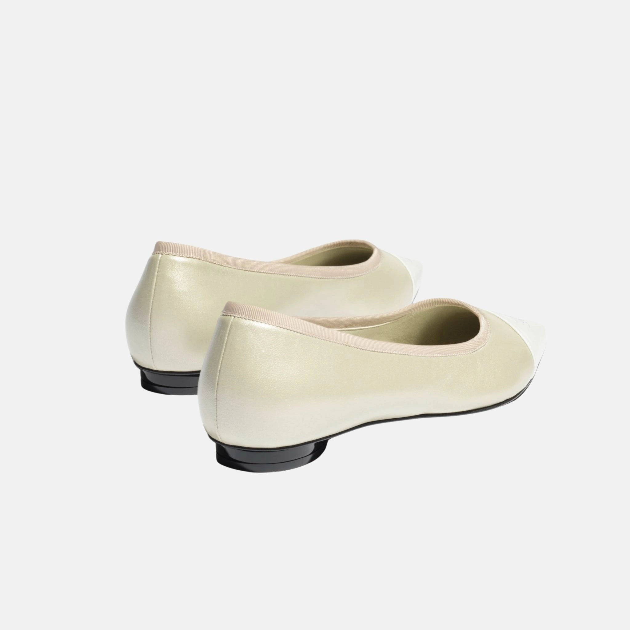 Ballet Flats in Iridescent Lambskin