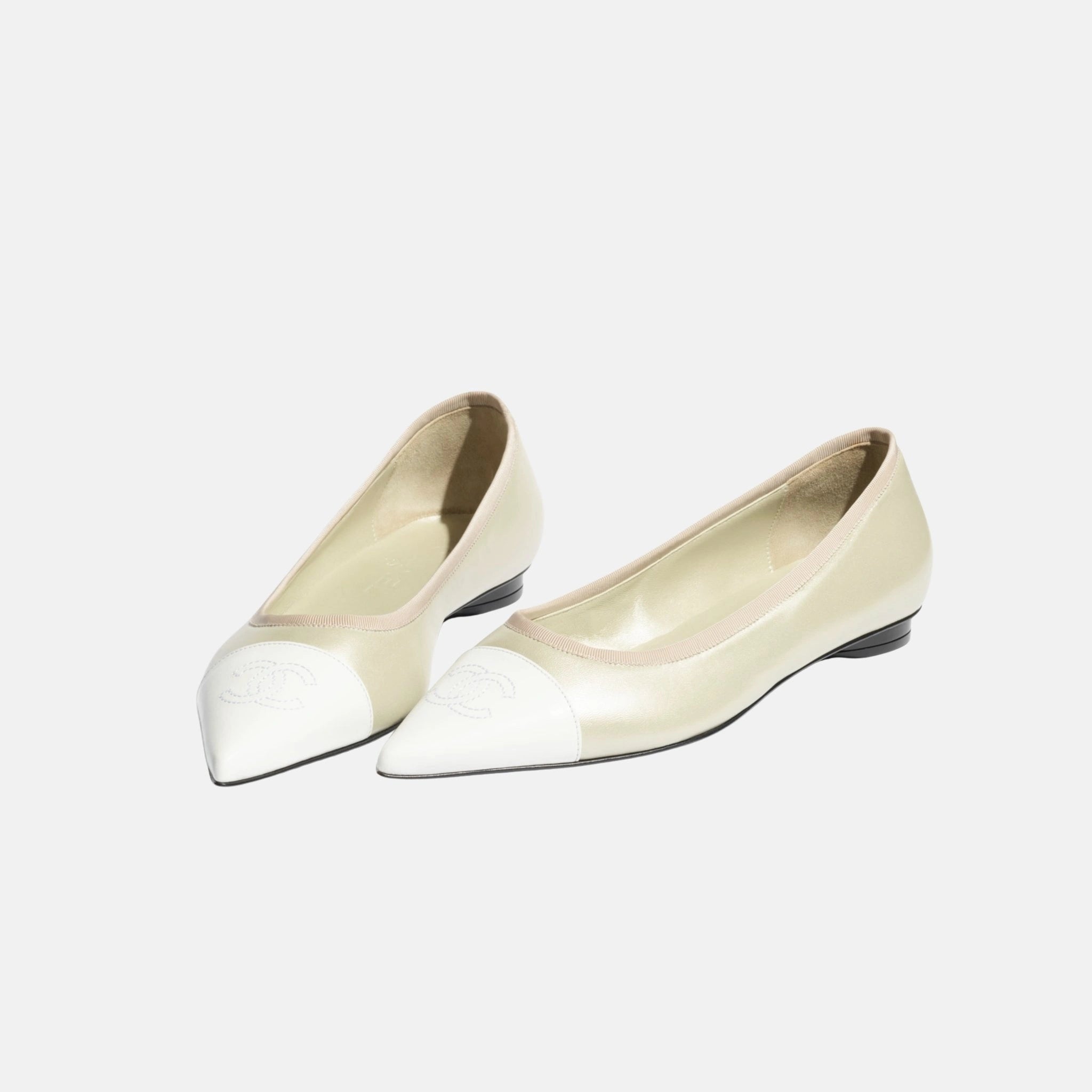 Ballet Flats in Iridescent Lambskin