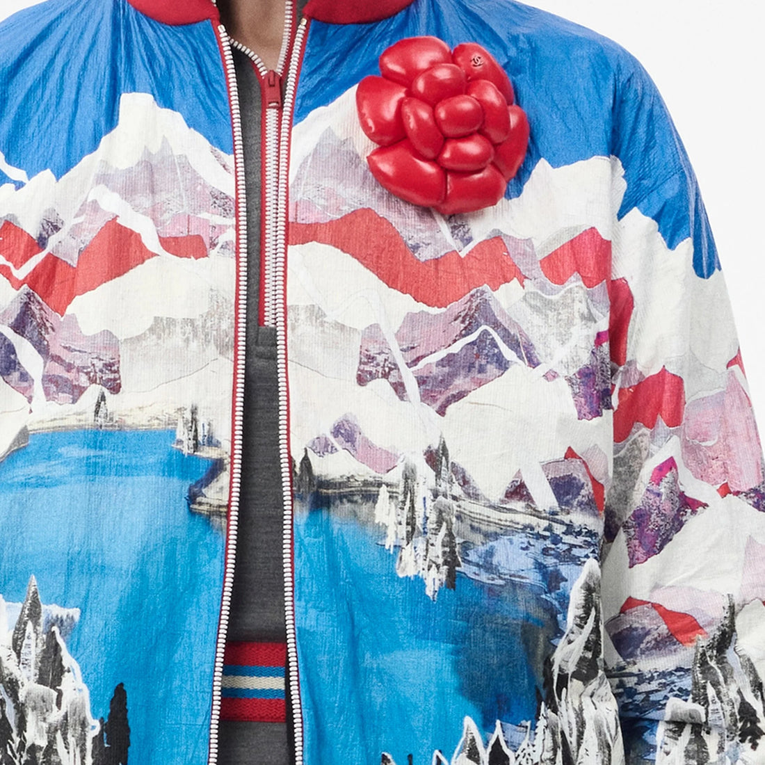 Chanel Blouson Printed Cotton Poplin in Blue, White and Red, Coco Neige 2026, close up detail