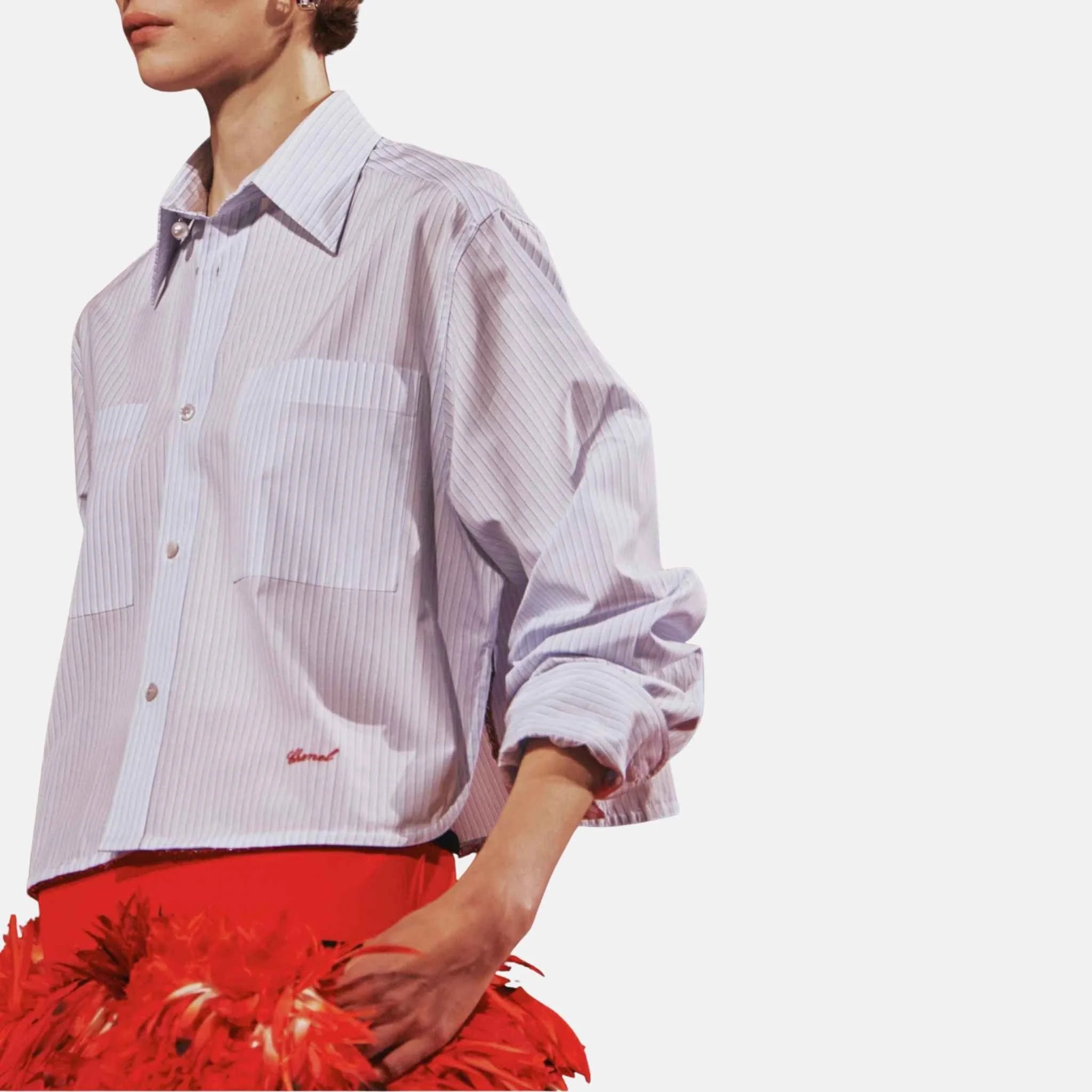 Chanel Long Sleeved Shirt Cotton Poplin Blue White, Close