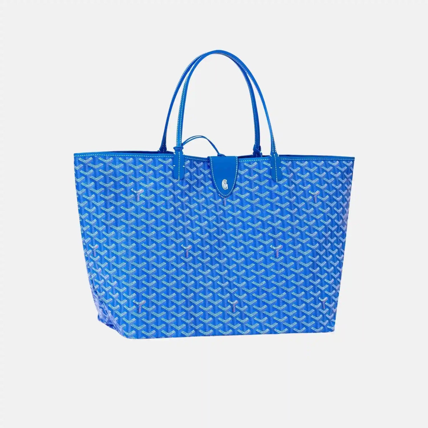 Goyard Saint Louis GM Bag, Sky Blue, Front, WIth Croc