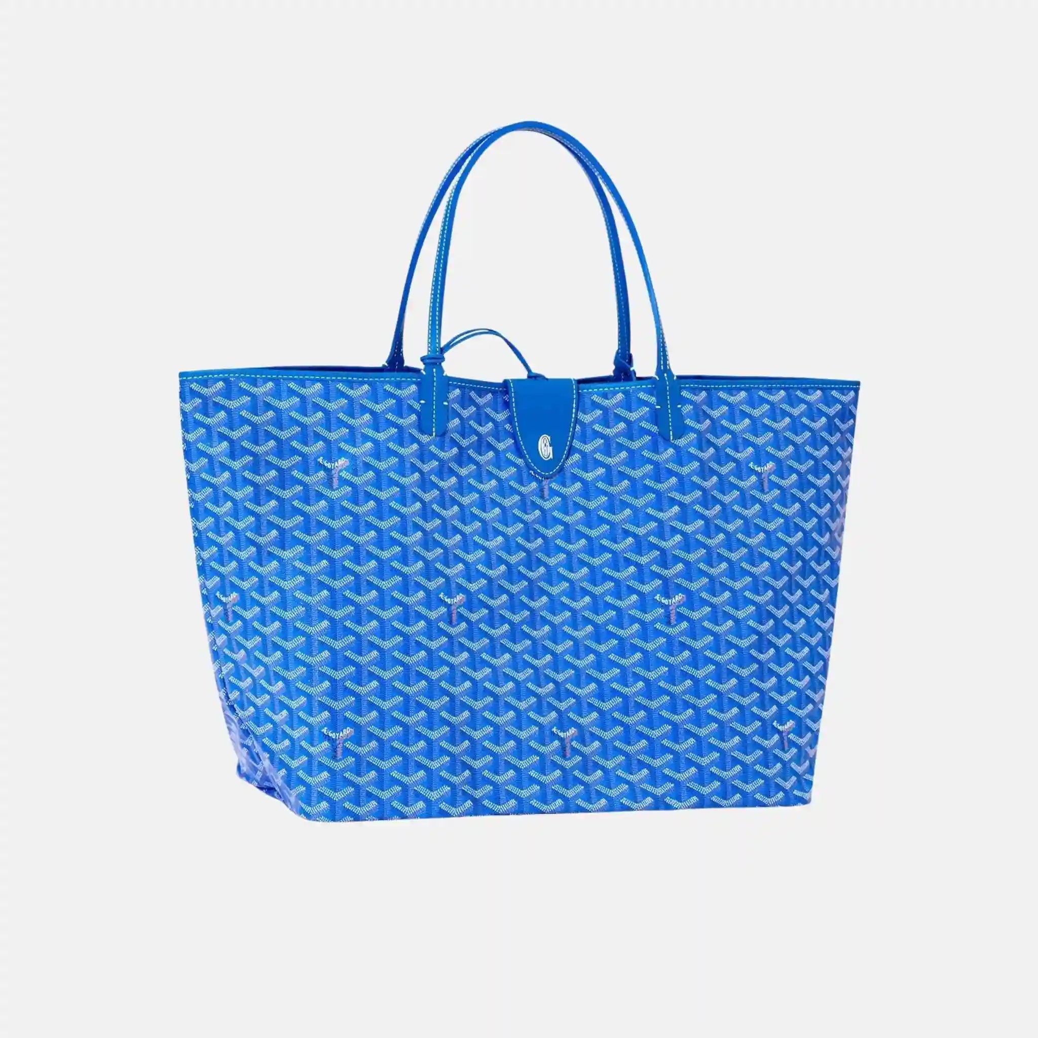 Goyard Saint Louis GM Bag, Sky Blue, Front, WIth Croc