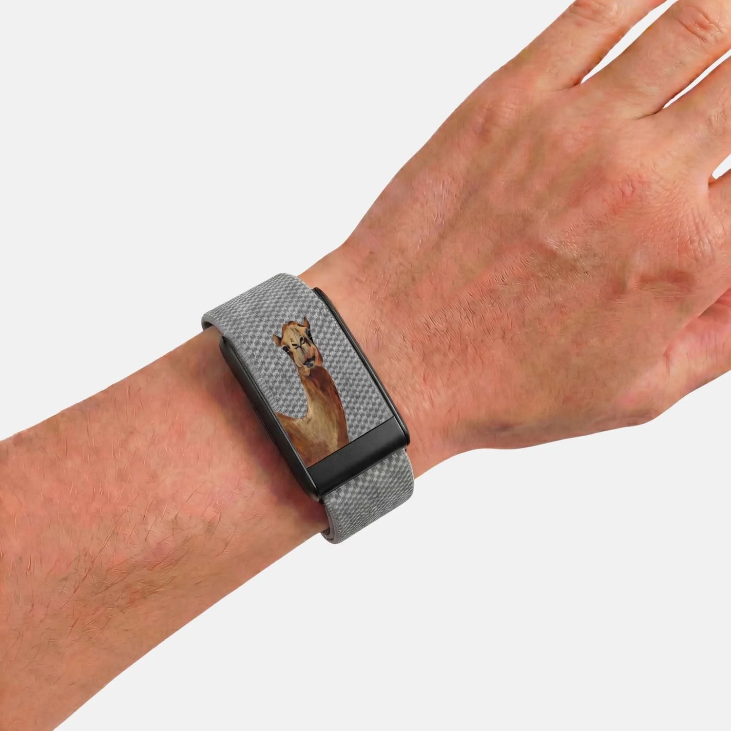 Whoop Band (Bracelet Only)