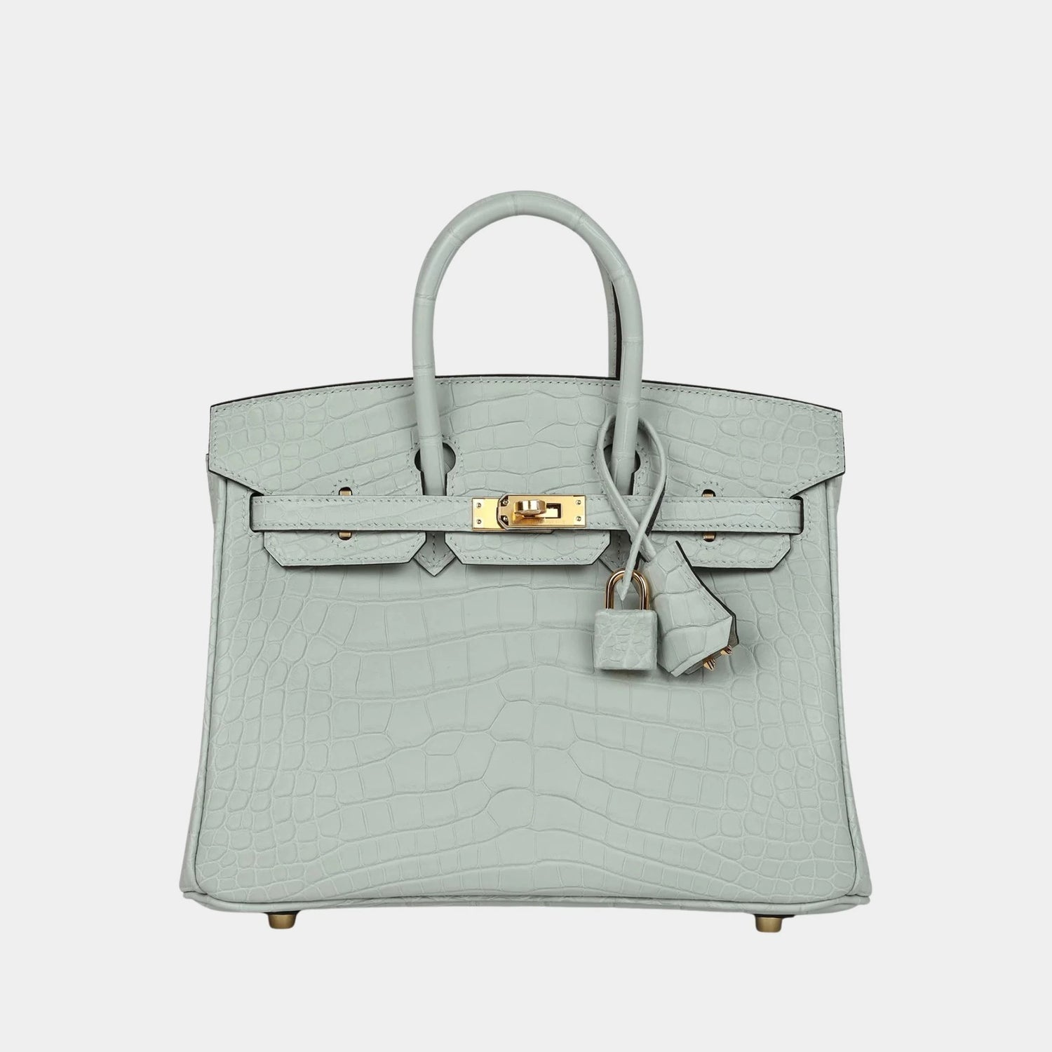 Hermes Birkin 25 Gris Neve Alligator GHW
