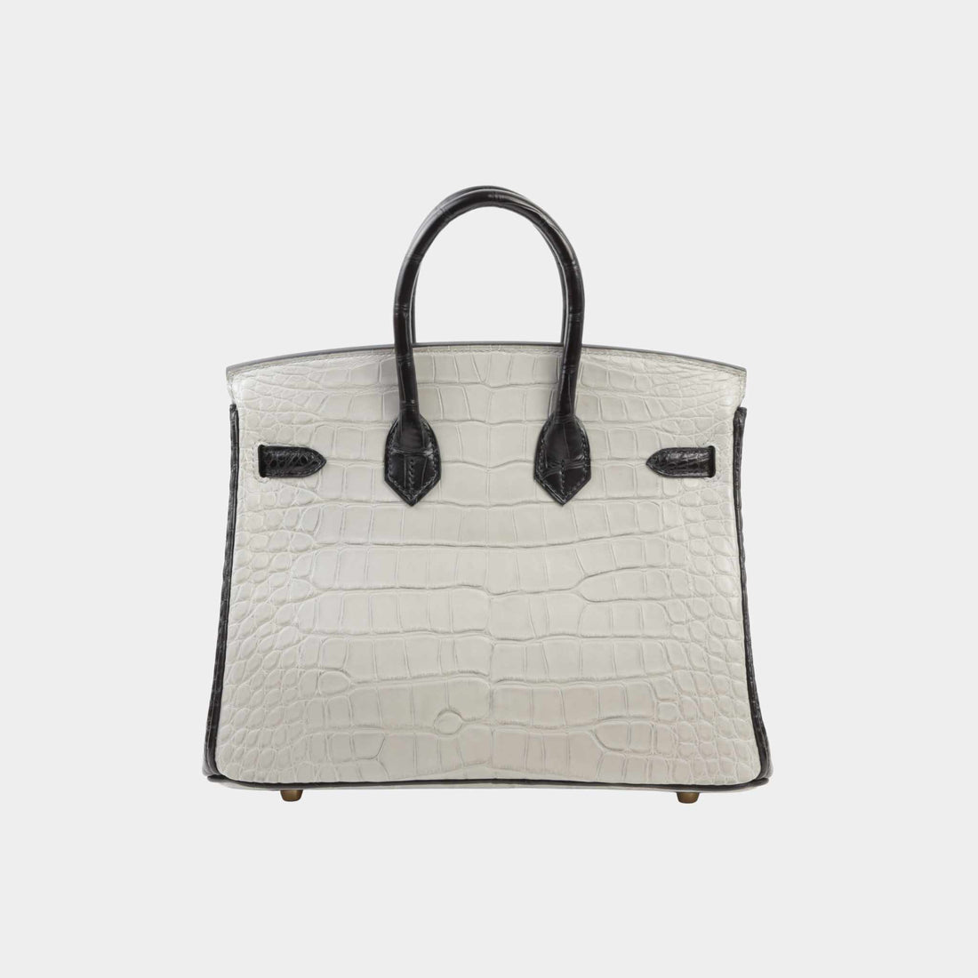 Hermes Birkin 25 HSS Matte Alligator Gris Perle/Black GHW, Back