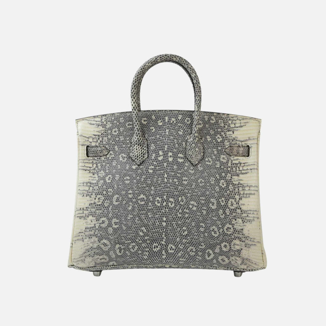 Hermes Birkin 25 Lizard Ombre PHW, Back