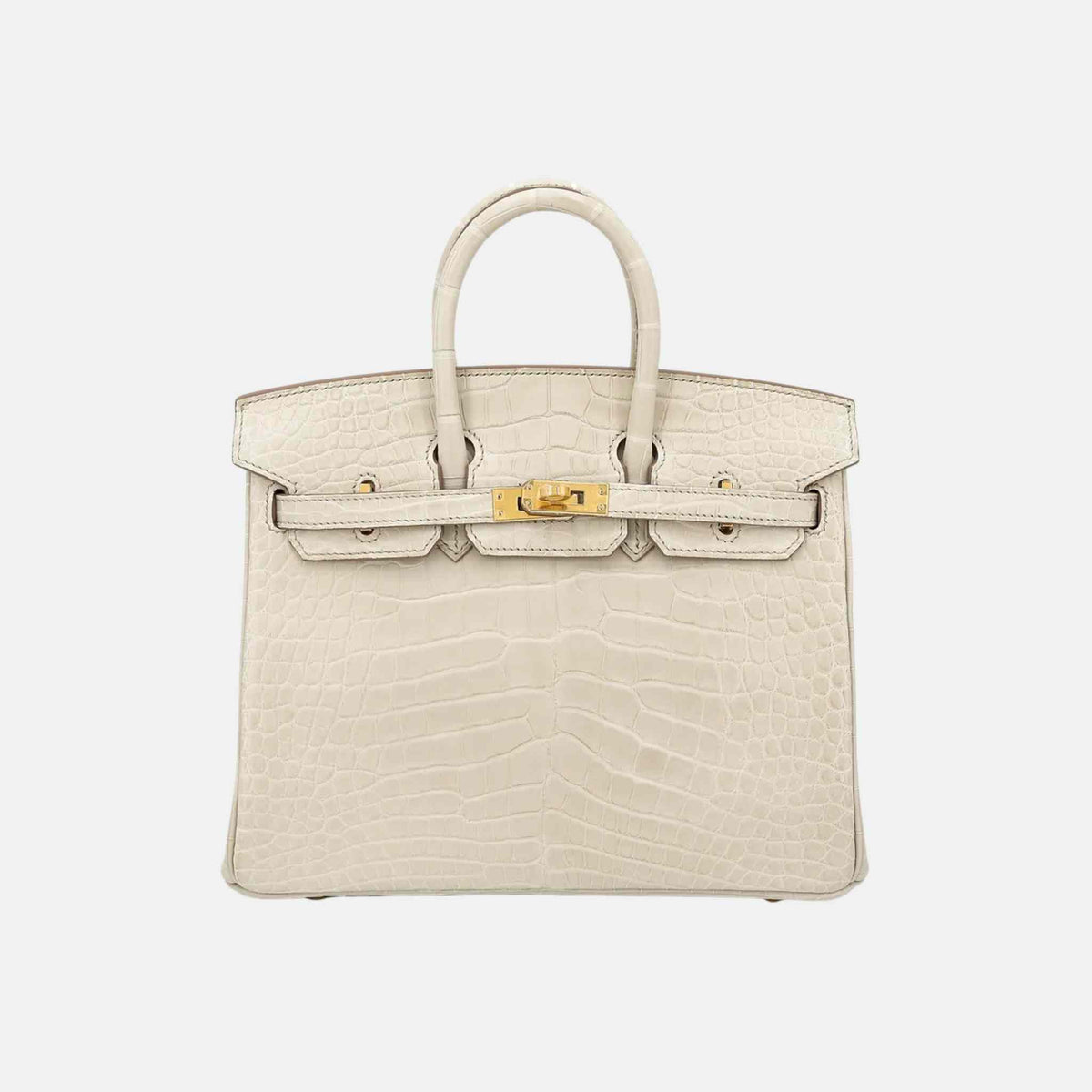 حقيبة Birkin 25 من تمساح مات Alligator بلون Beton مع حليات ذهبية