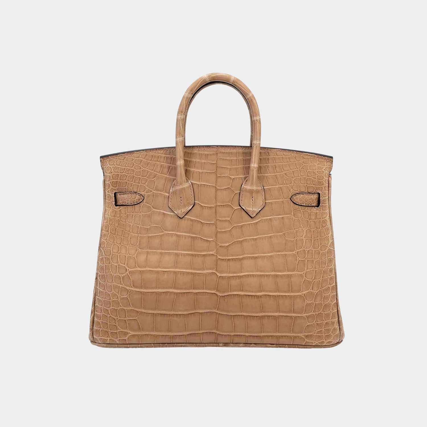 Hermes Birkin 25 Matte Alligator Chai GHW, Back