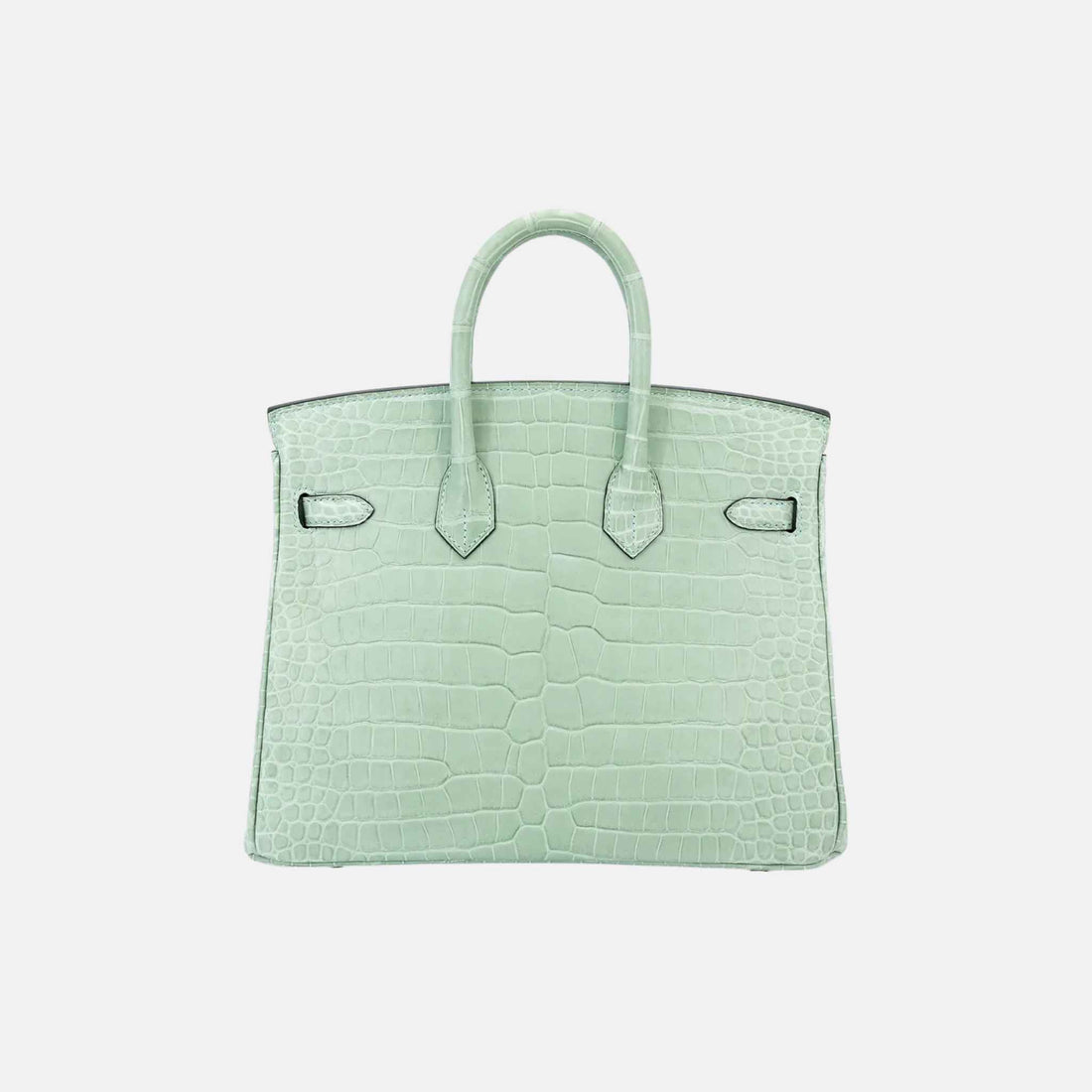 Hermes Birkin 25  Matte Porosus Crocodile Vert d’Eau GHW, Back