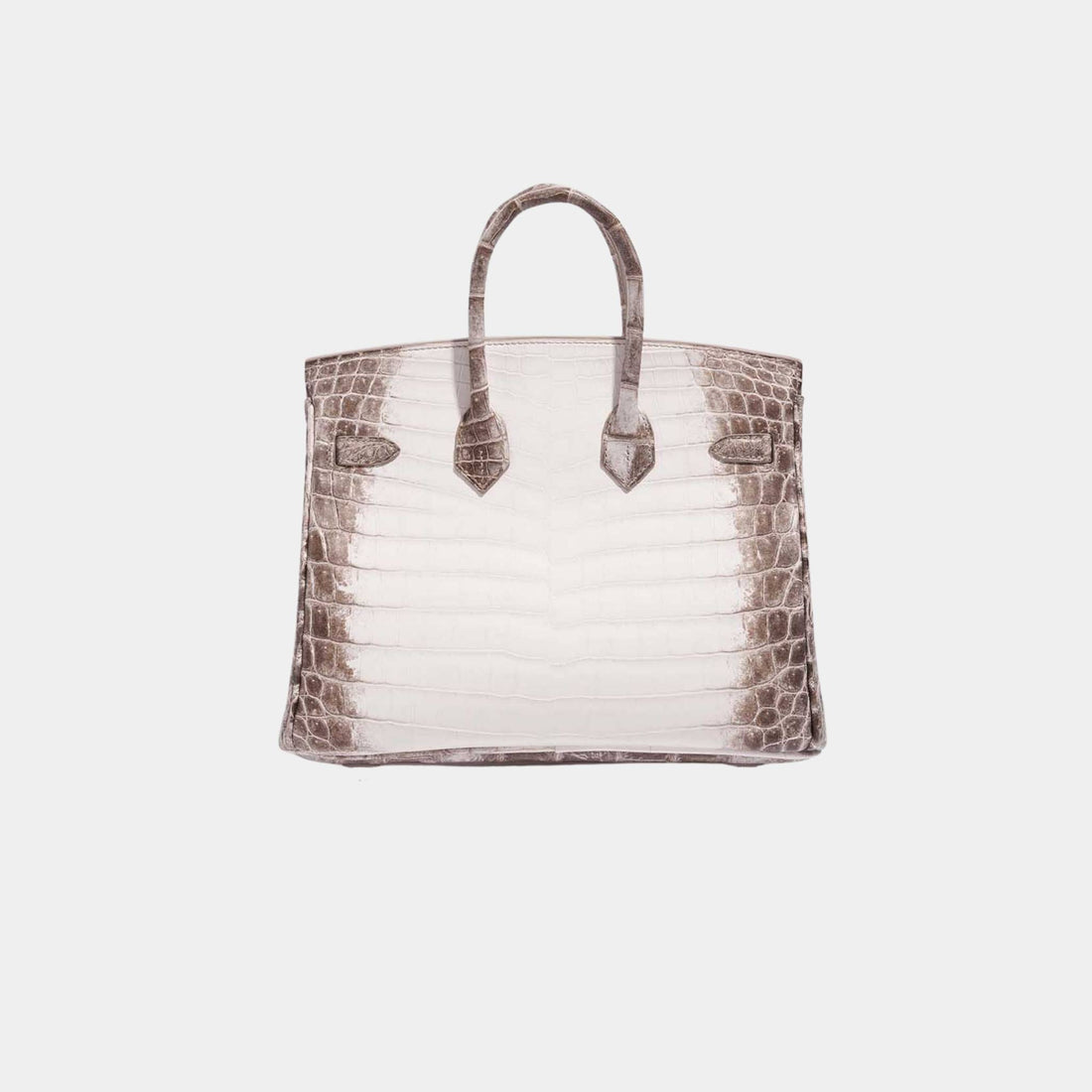 Hermes Birkin 25 Niloticus Crocodile Himalaya Blanc, Back