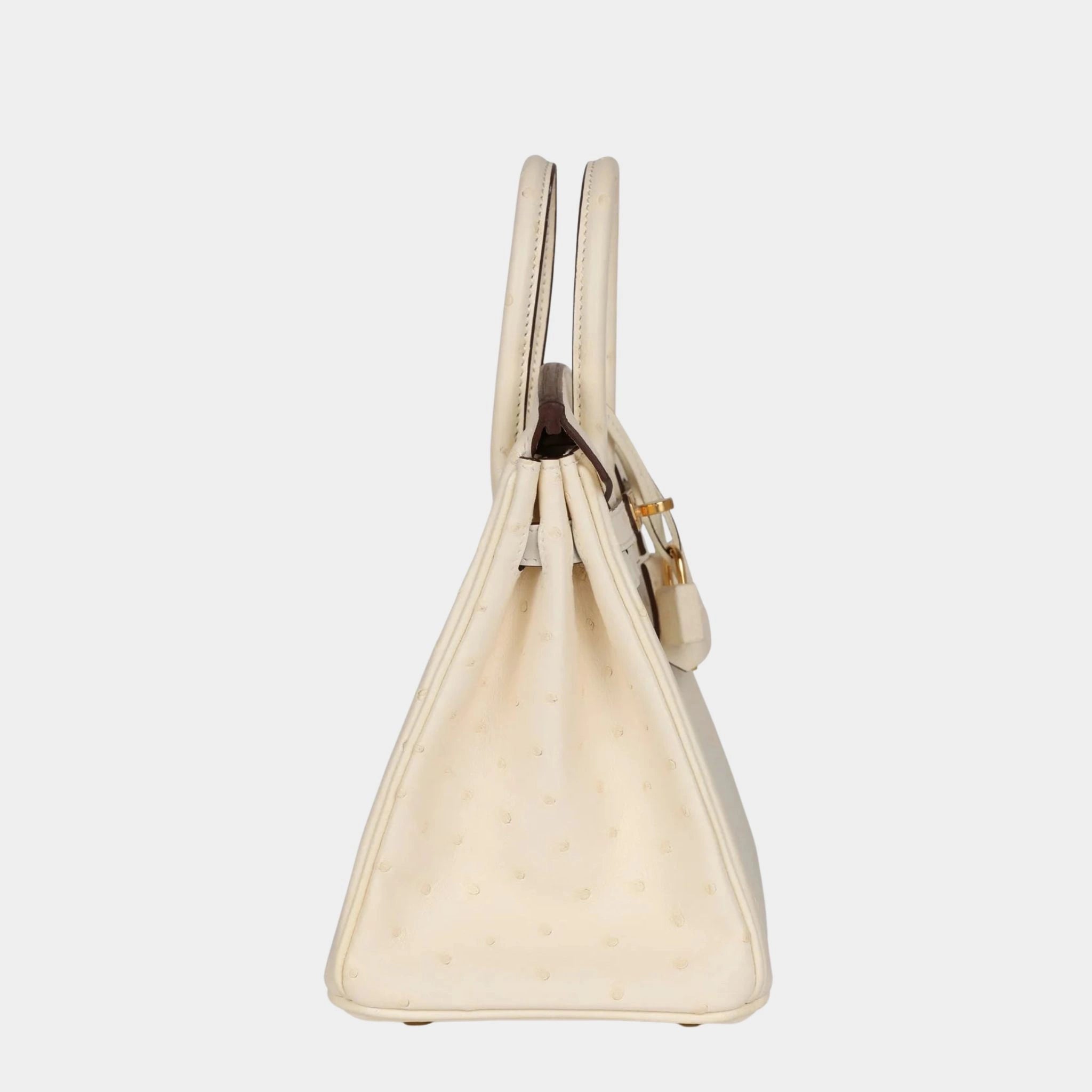 Birkin 25 Ostrich Nata GHW