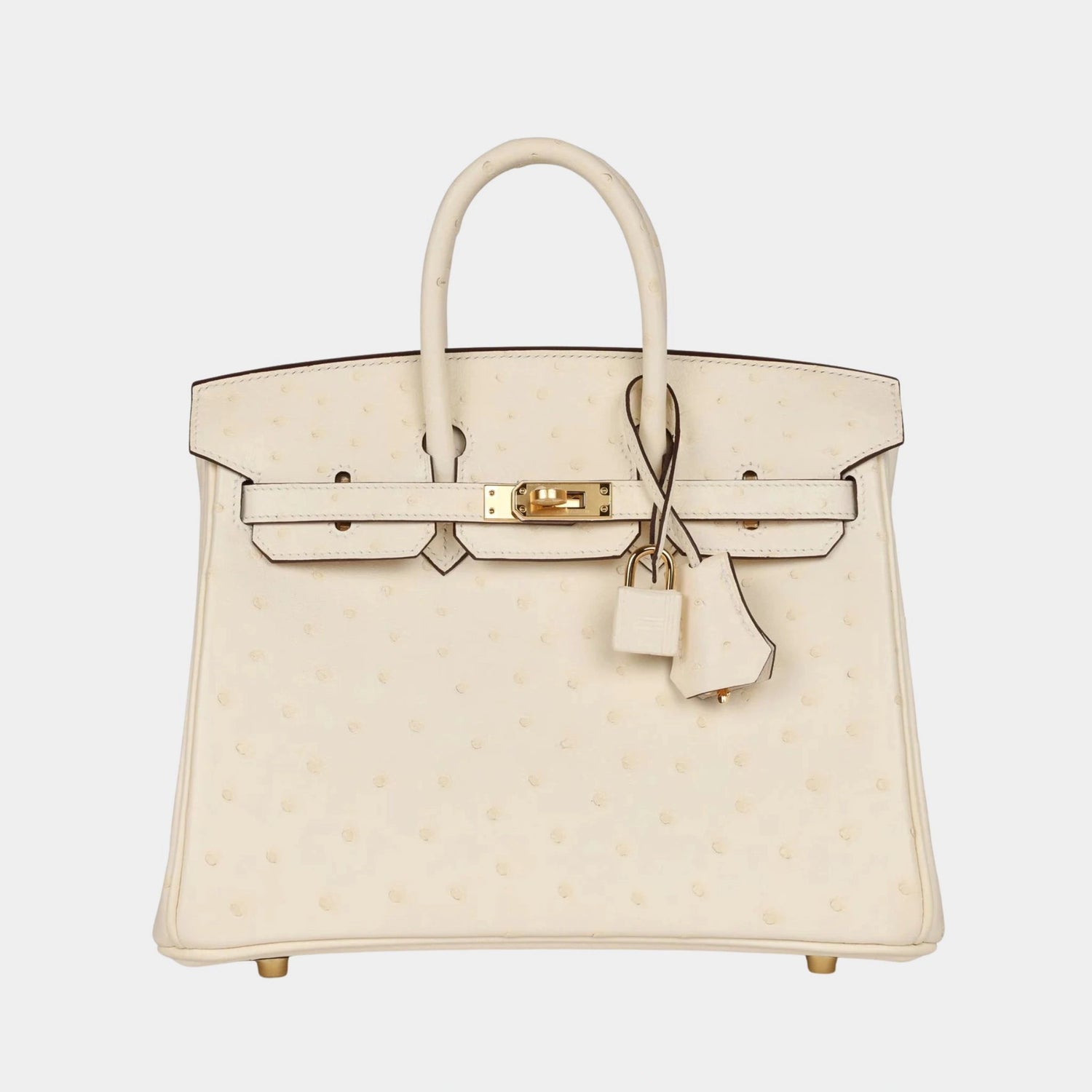 Birkin 25 Ostrich Nata GHW