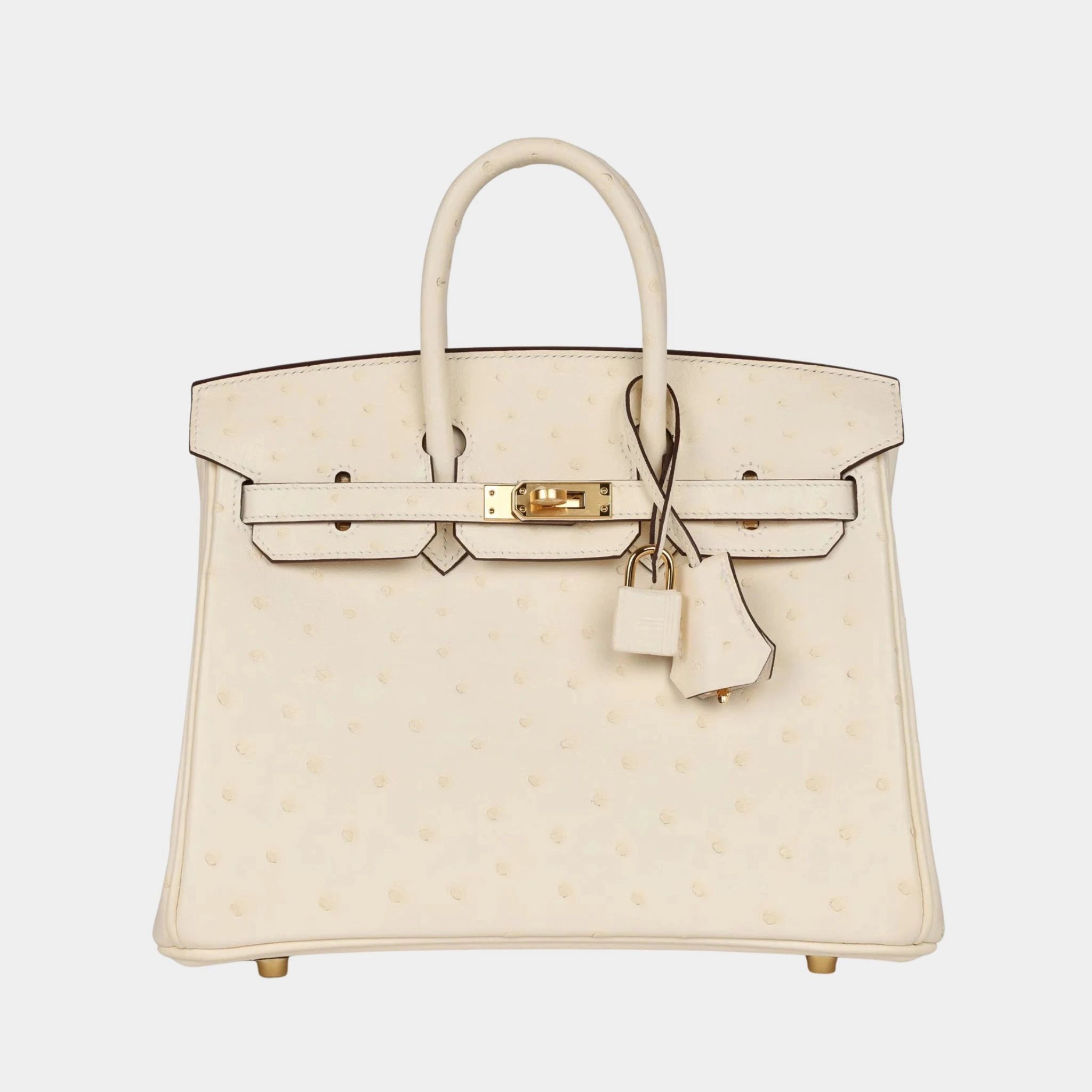 Birkin 25 Ostrich Nata GHW