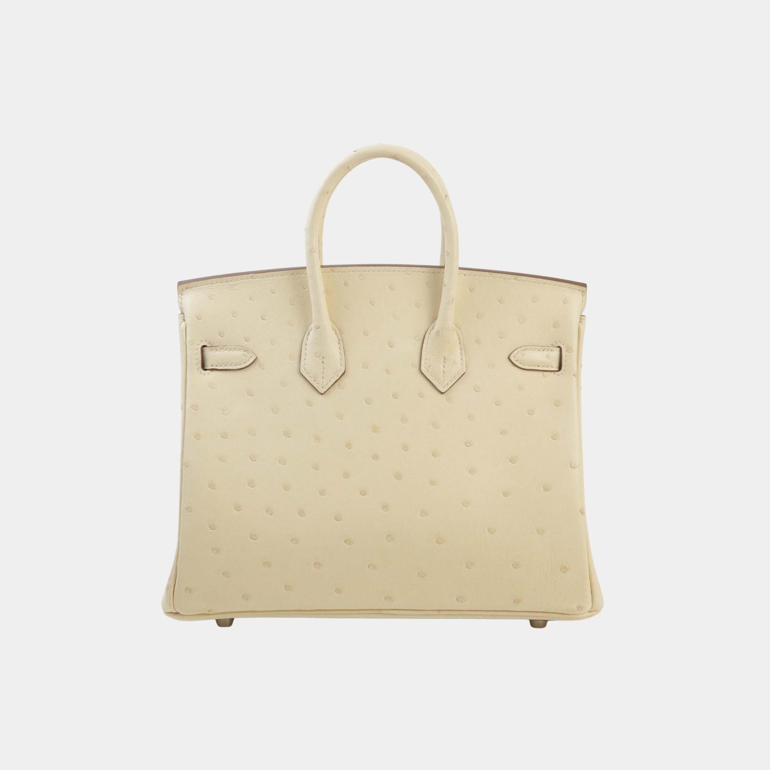 Hermes Birkin 25 Ostrich Parchemin PHW, Back