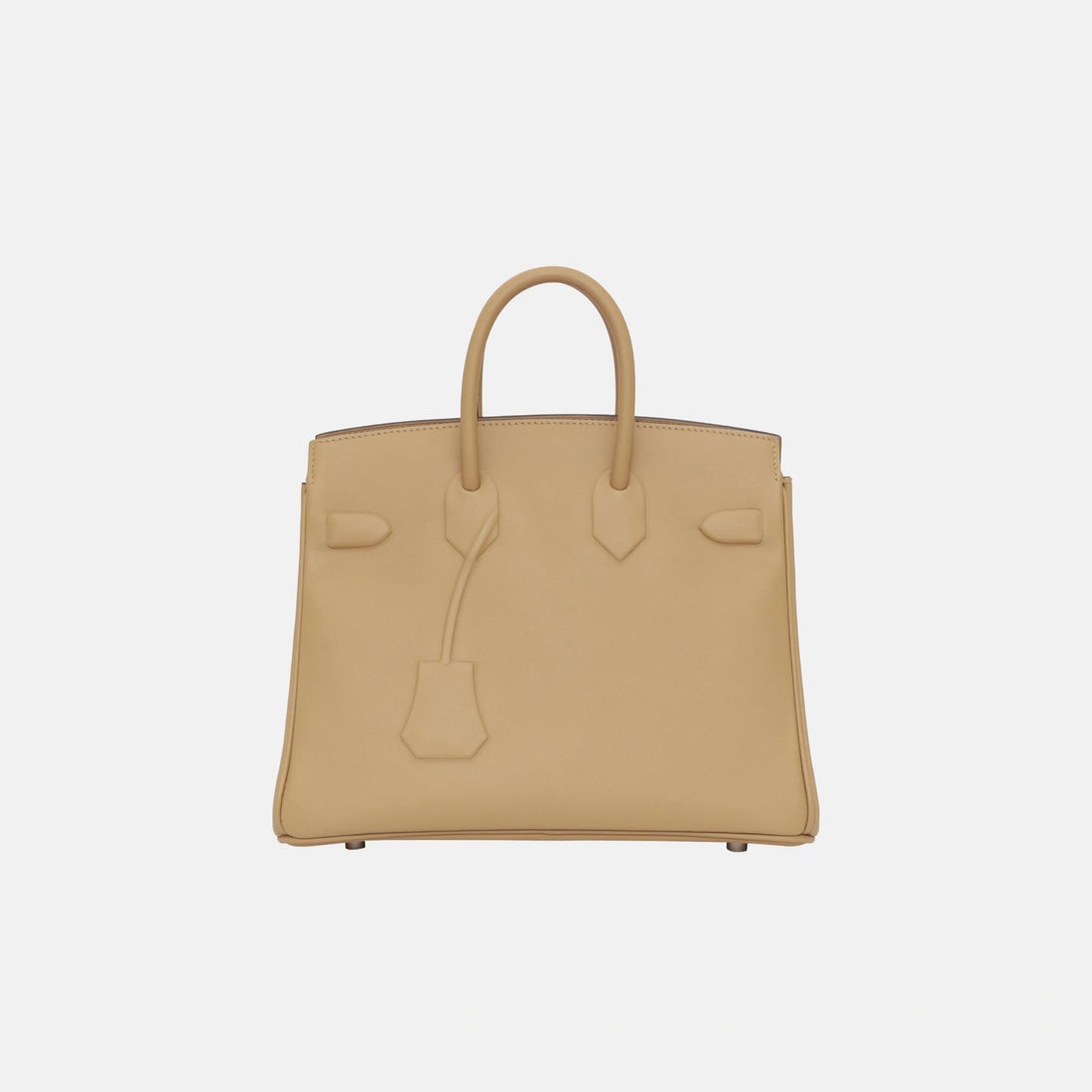 Hermes Birkin 25 Shadow Poussiere Swift, Back