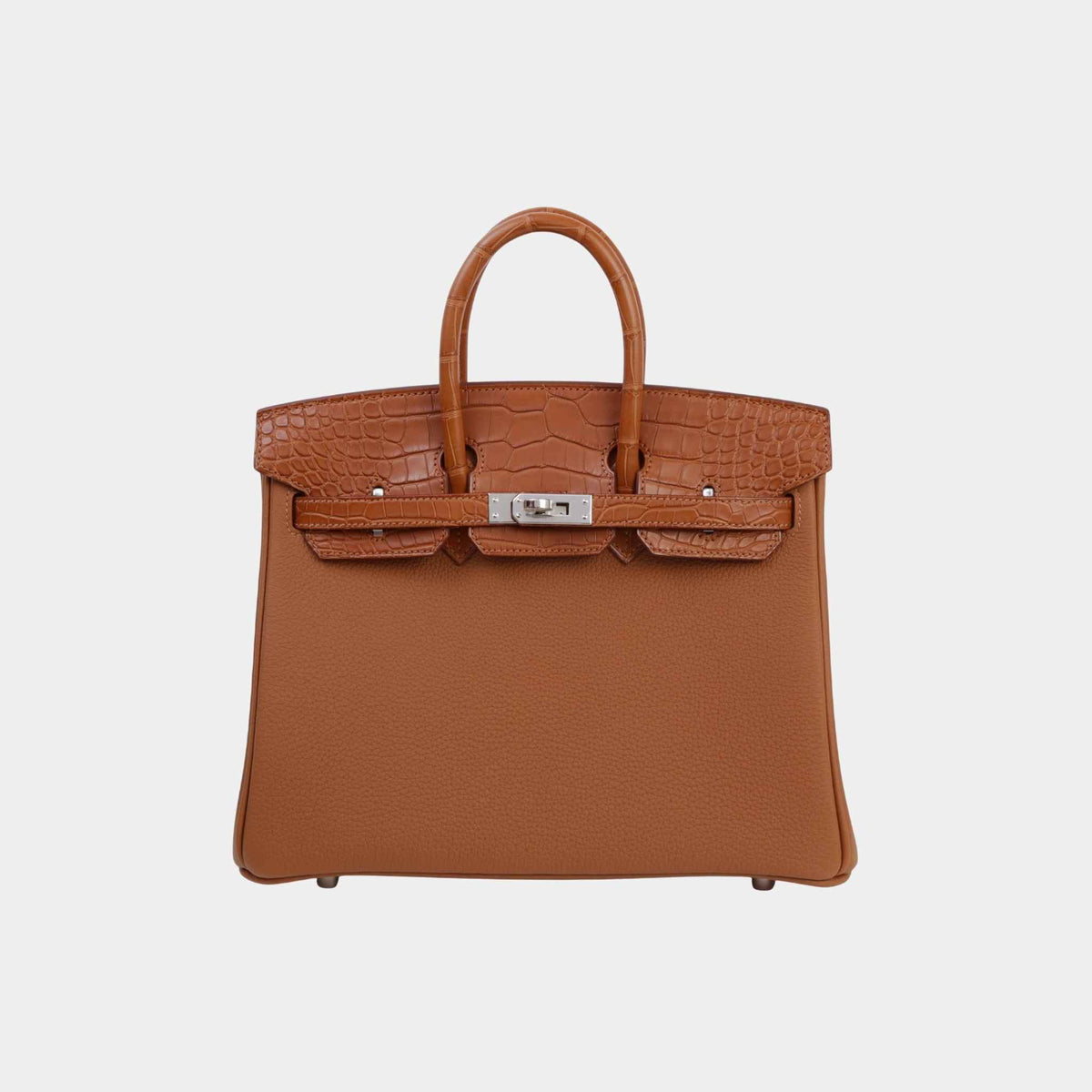 Birkin 25 Touch Matte Alligator Togo PHW