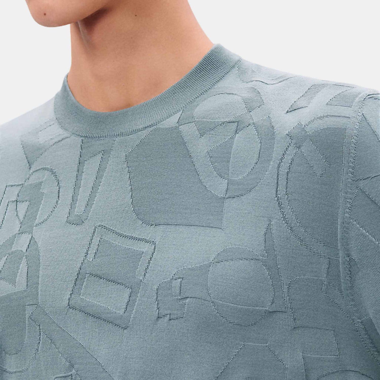 Hermes Fragments Equestres Crewneck Sweater Eucalyptus, Closeup, Model