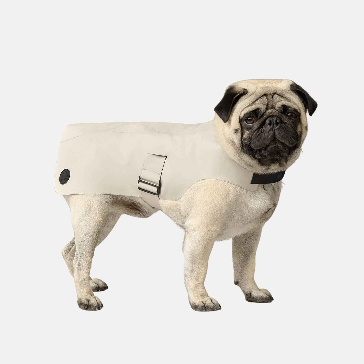Luxury Dog Raincoat