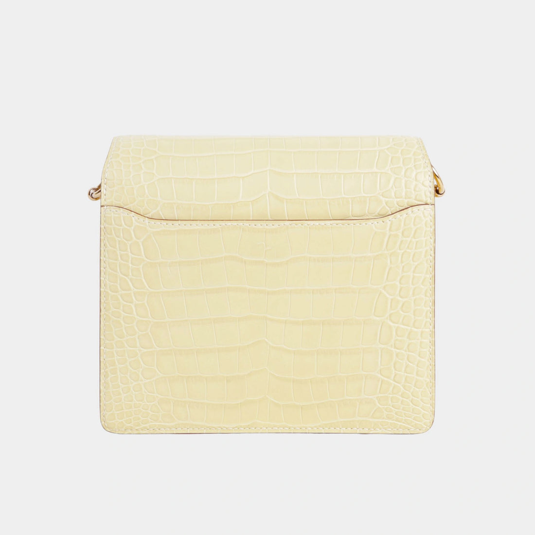 Hermes Roulis Mini Matte Alligator Vanille PBHW، من الخلف