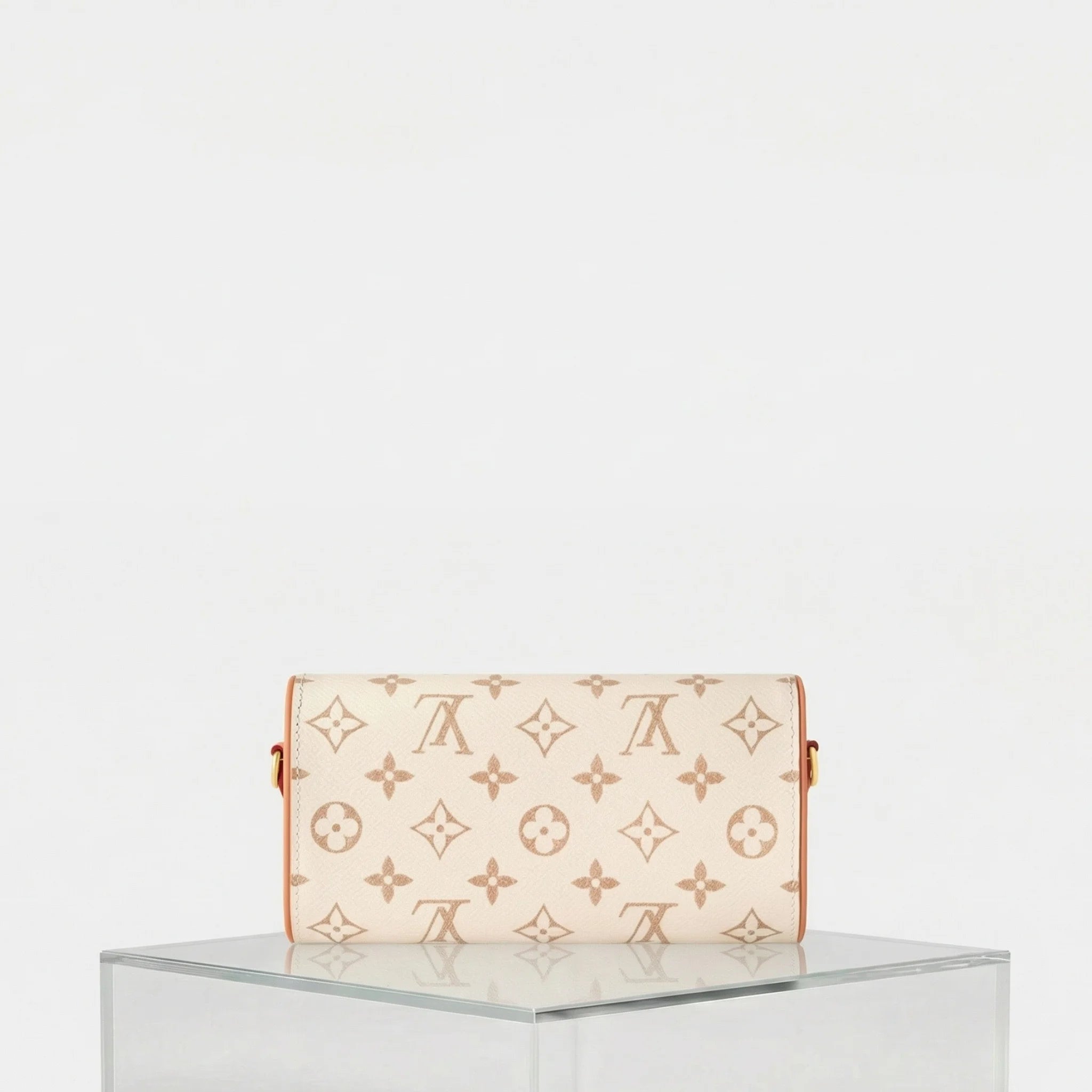 Louis Vuitton Camille Pouch, Back