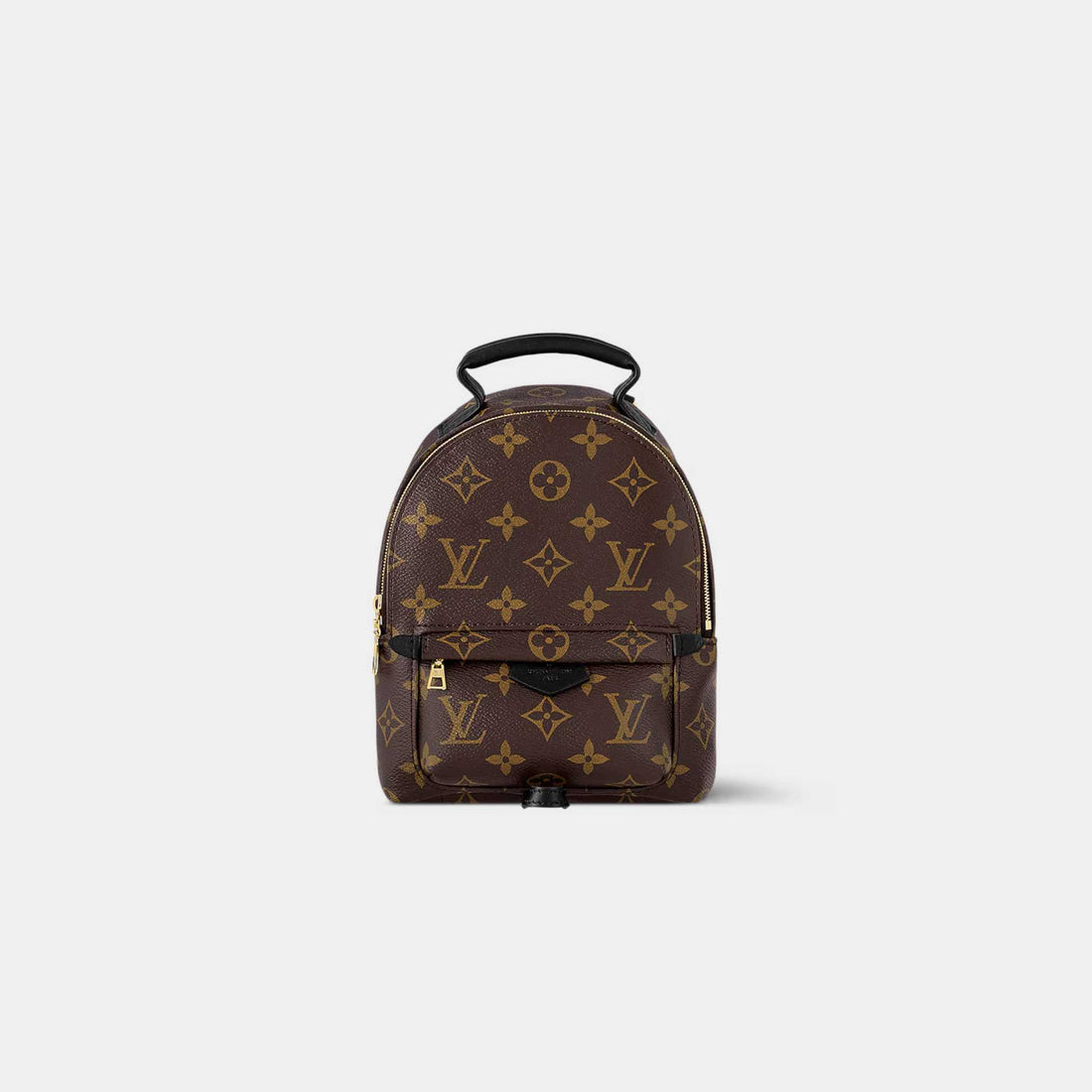 Louis Vuitton Palm Springs Mini Backpack, Front