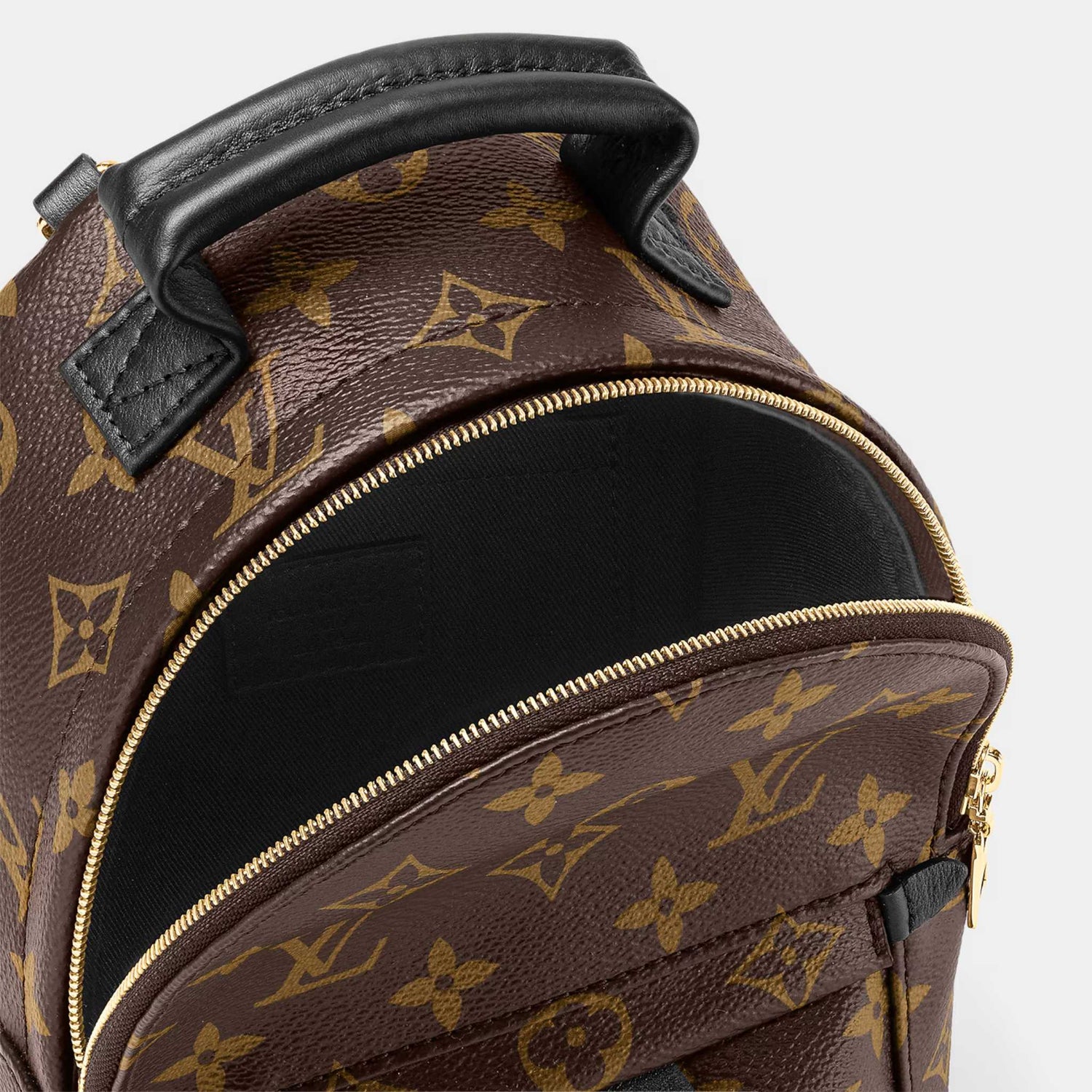 Louis Vuitton Palm Springs Mini Backpack, Top