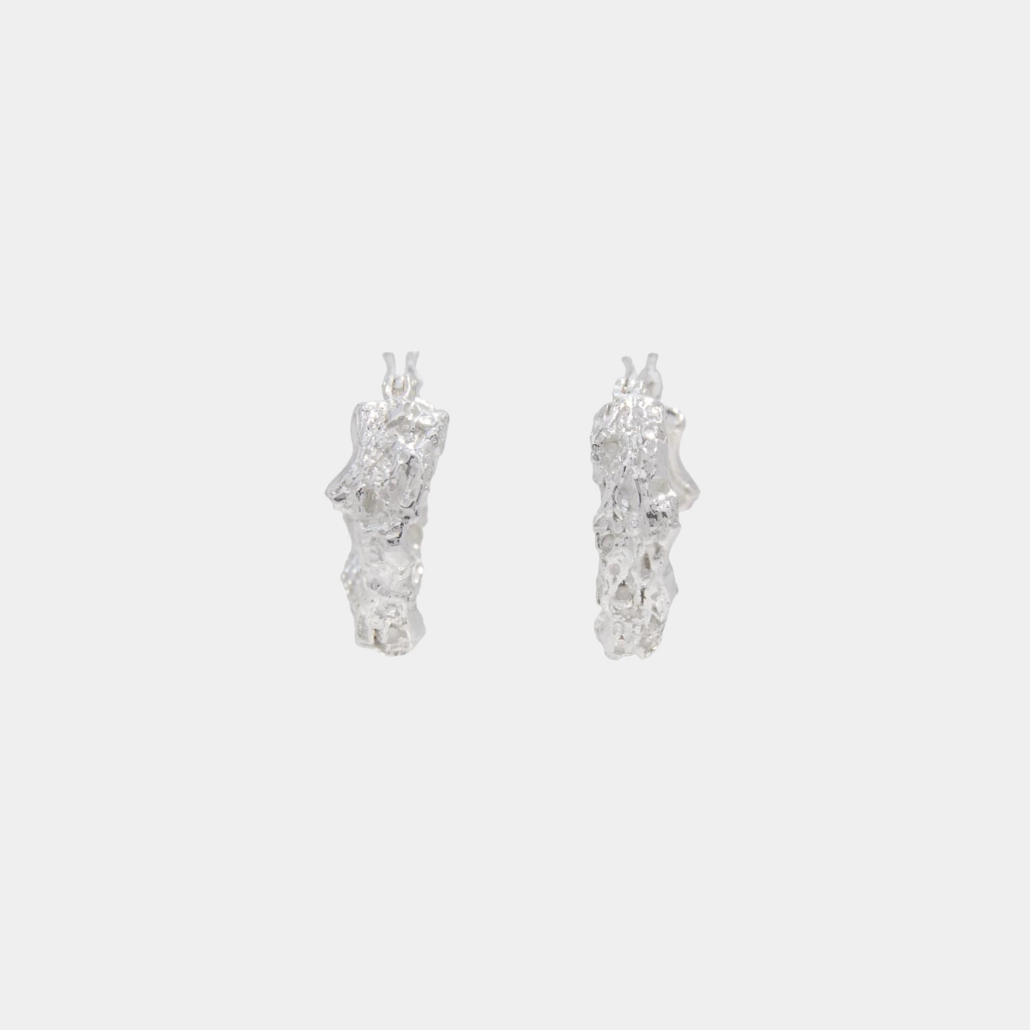 Rebutia Small Earrings