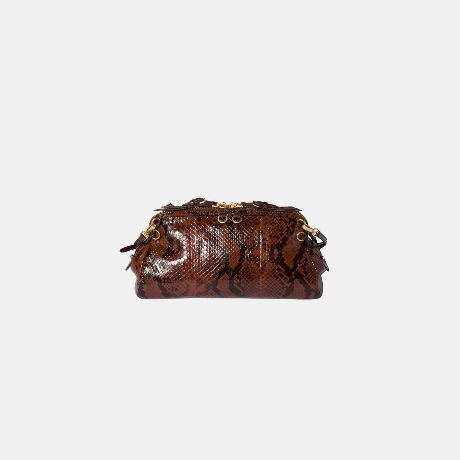 Miu Miu Python-print Ayers Leather Clutch, Tobacco, Back