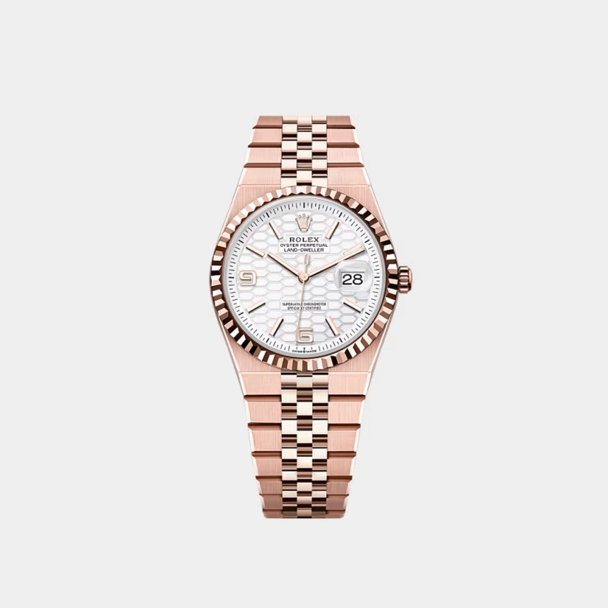 Land-Dweller 36 Everose Gold Ref. 127235