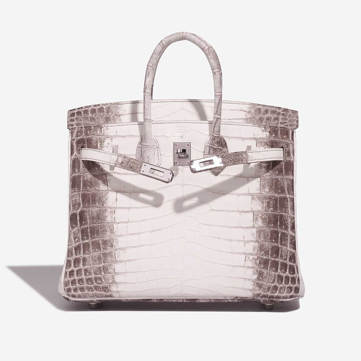 Birkin Himalaya 25 Niloticus Crocodile White