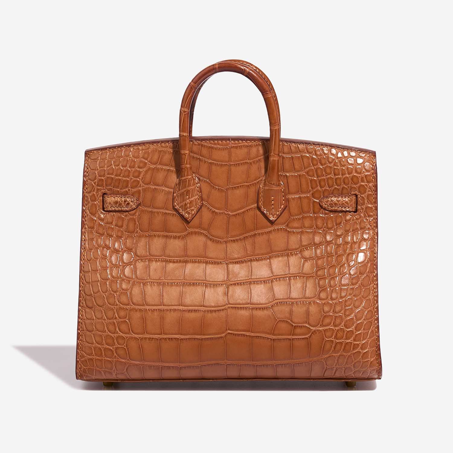 Birkin 20 Alligator Mississippi Gold