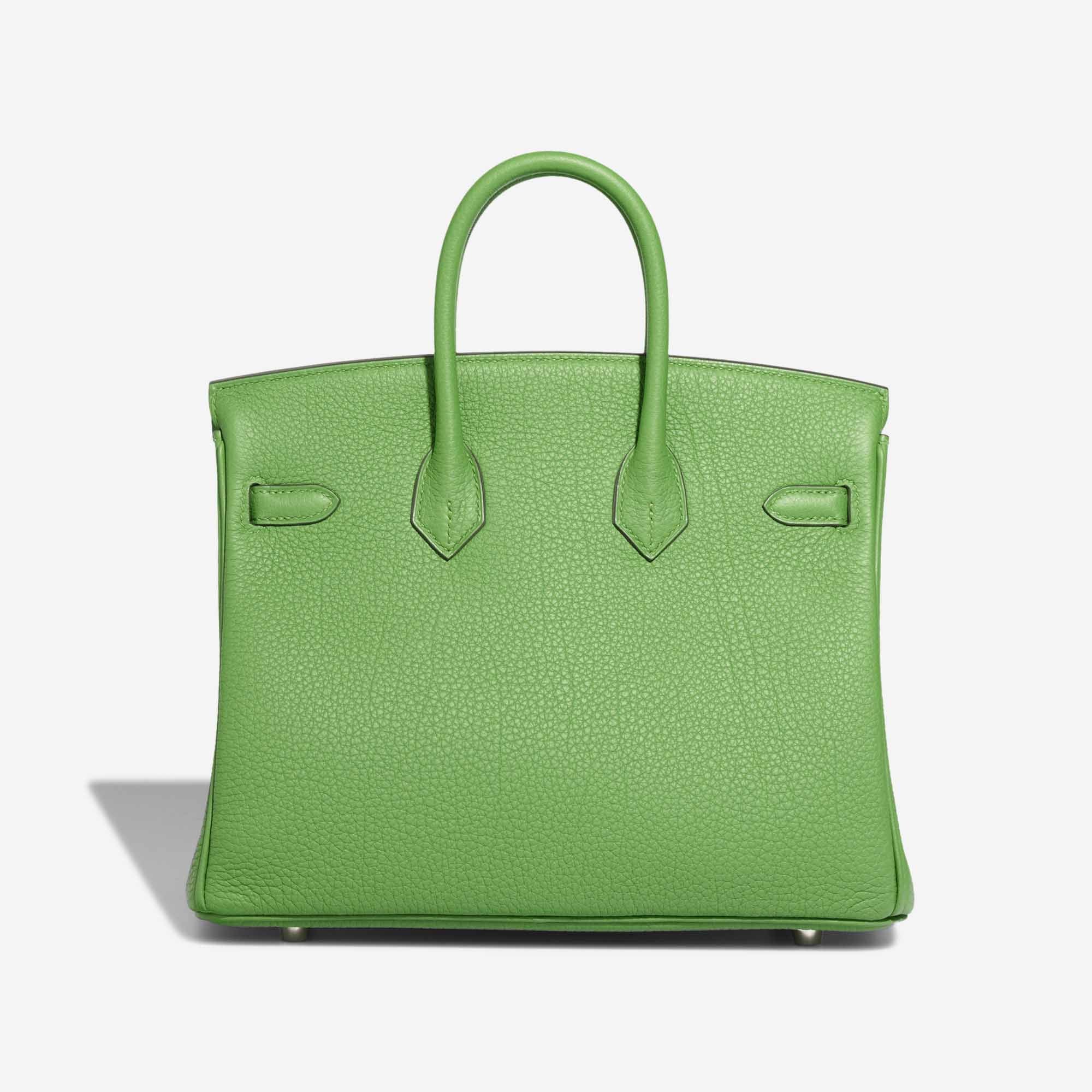 Birkin 25 Togo Vert Yucca