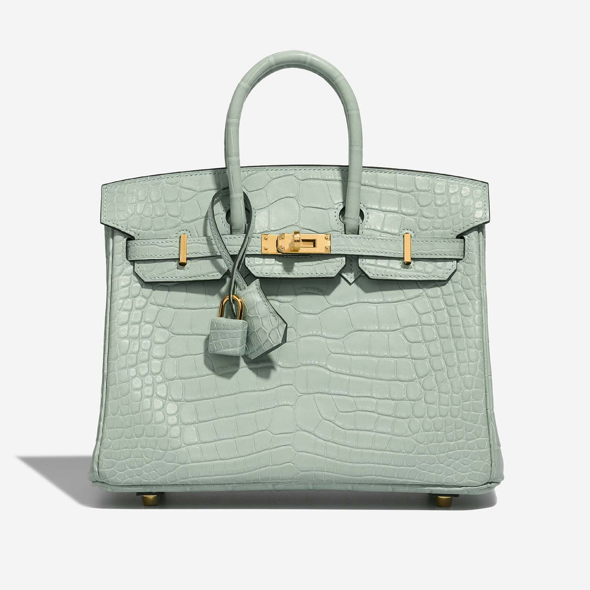 حقيبة Birkin 25 من جلد Alligator Matte باللون Vert d'Eau