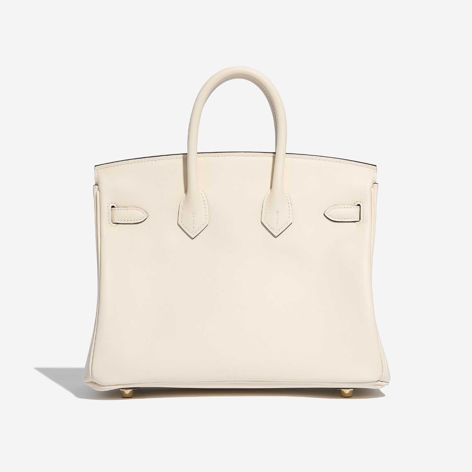 Birkin 25 Swift Nata