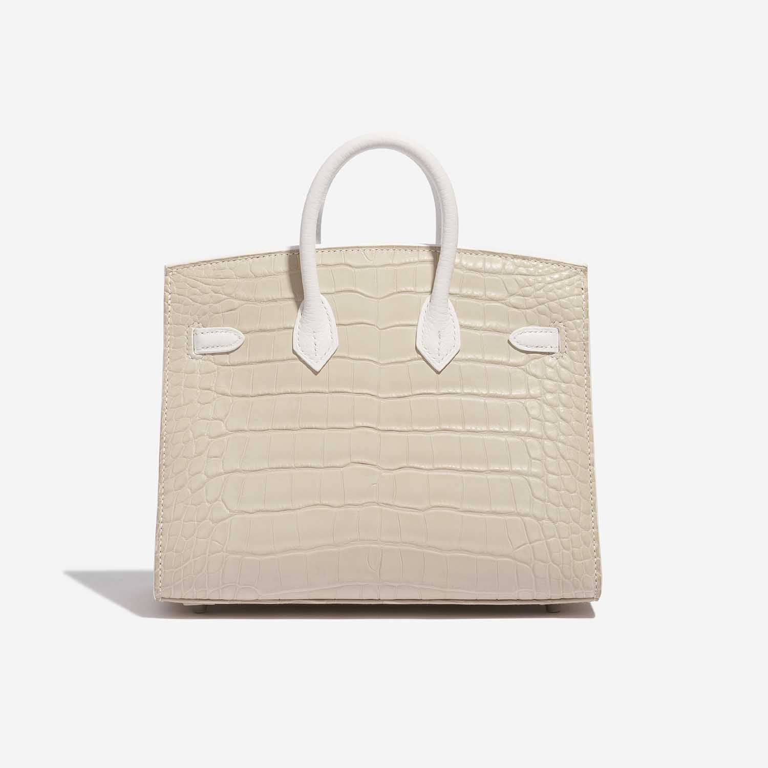 Birkin 20 Faubourg Snow White Sous La Neige