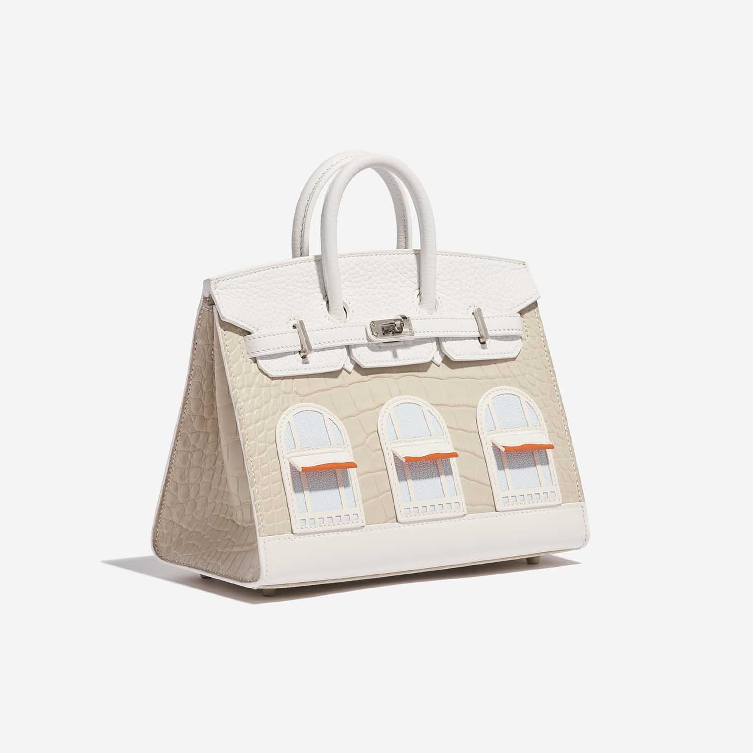 Birkin 20 Faubourg Snow White Sous La Neige