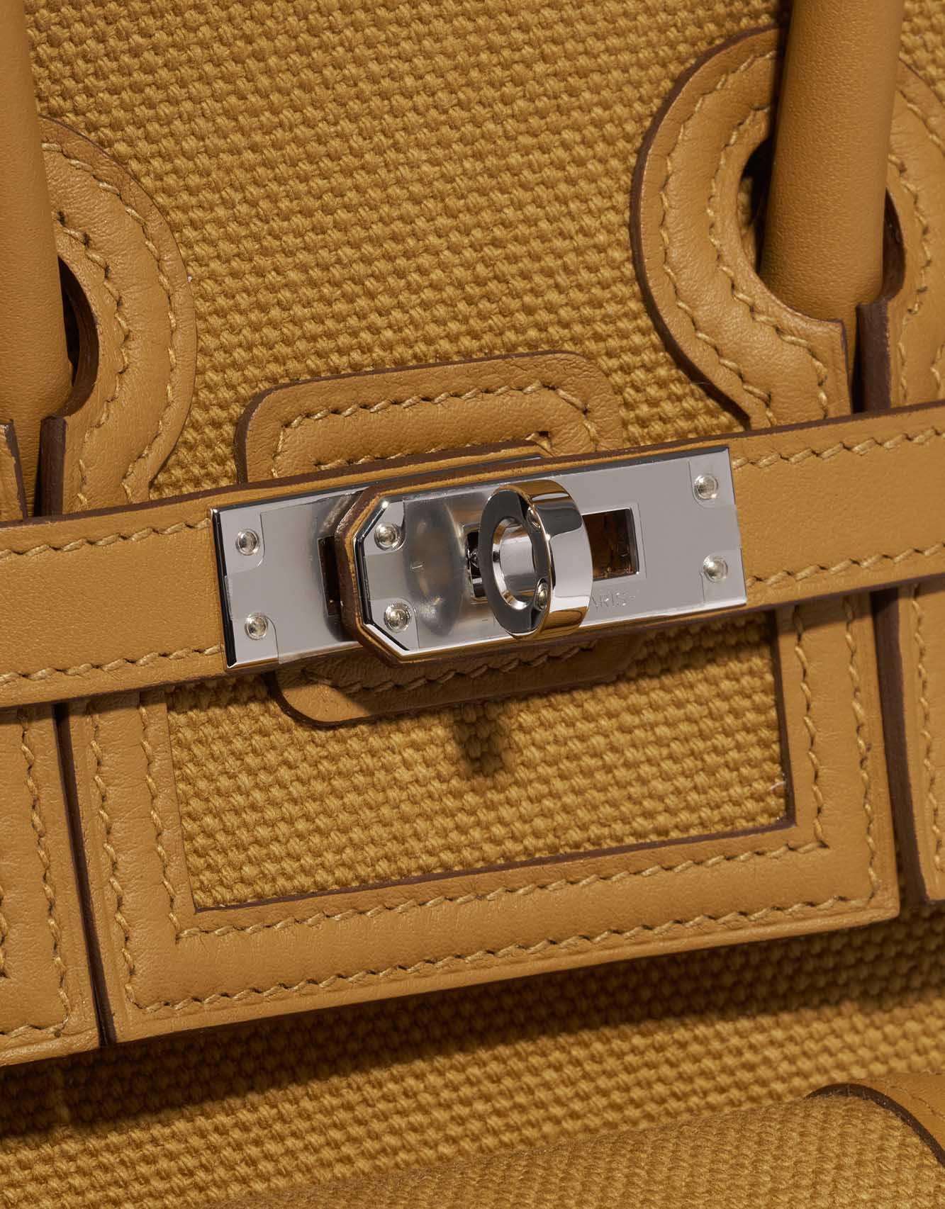 Birkin Cargo 25 Toile Goeland / Veau Swift Desert / Sesame