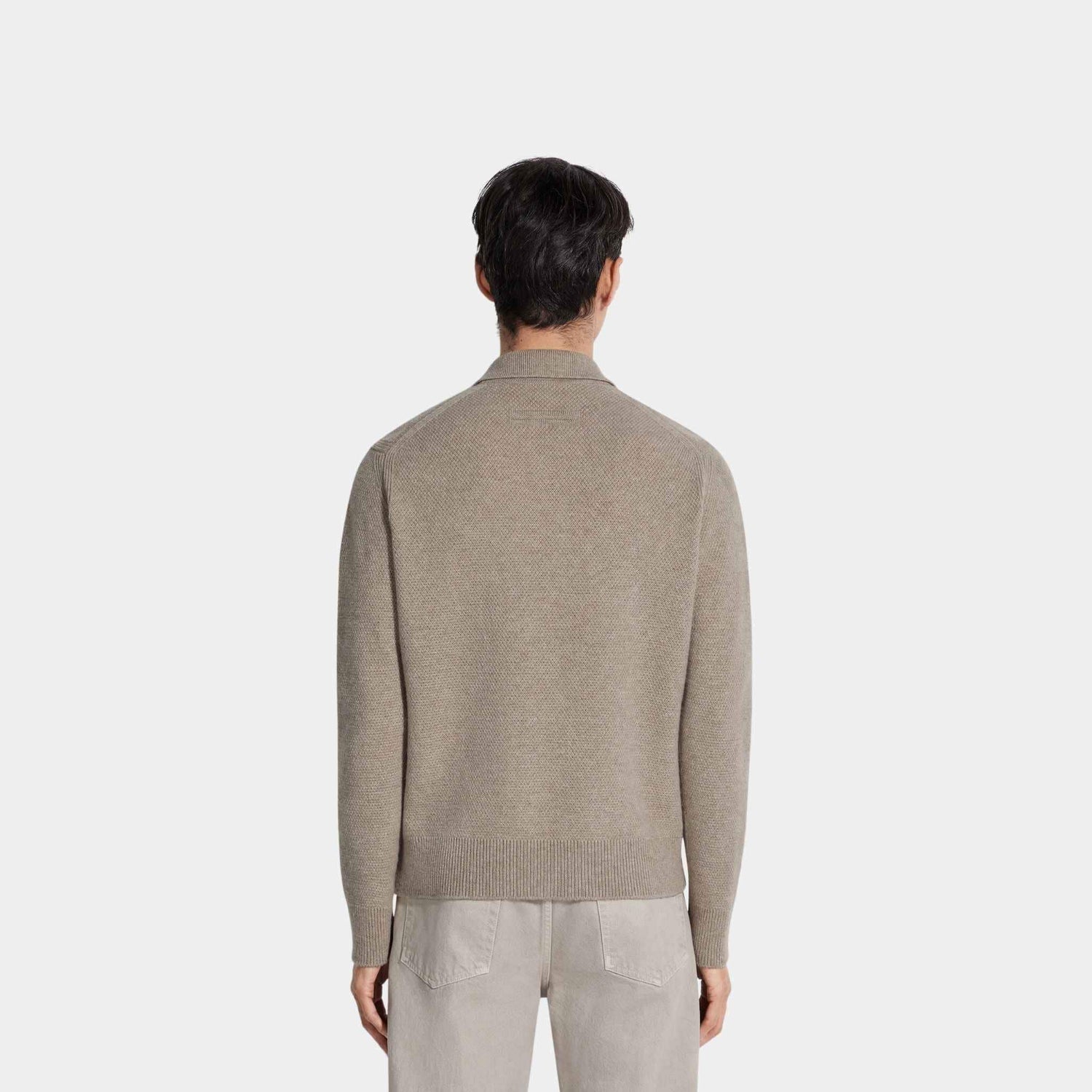 Zegna Melange Oasi Cashmere Light Taupe Polo Shirt, Model, Back