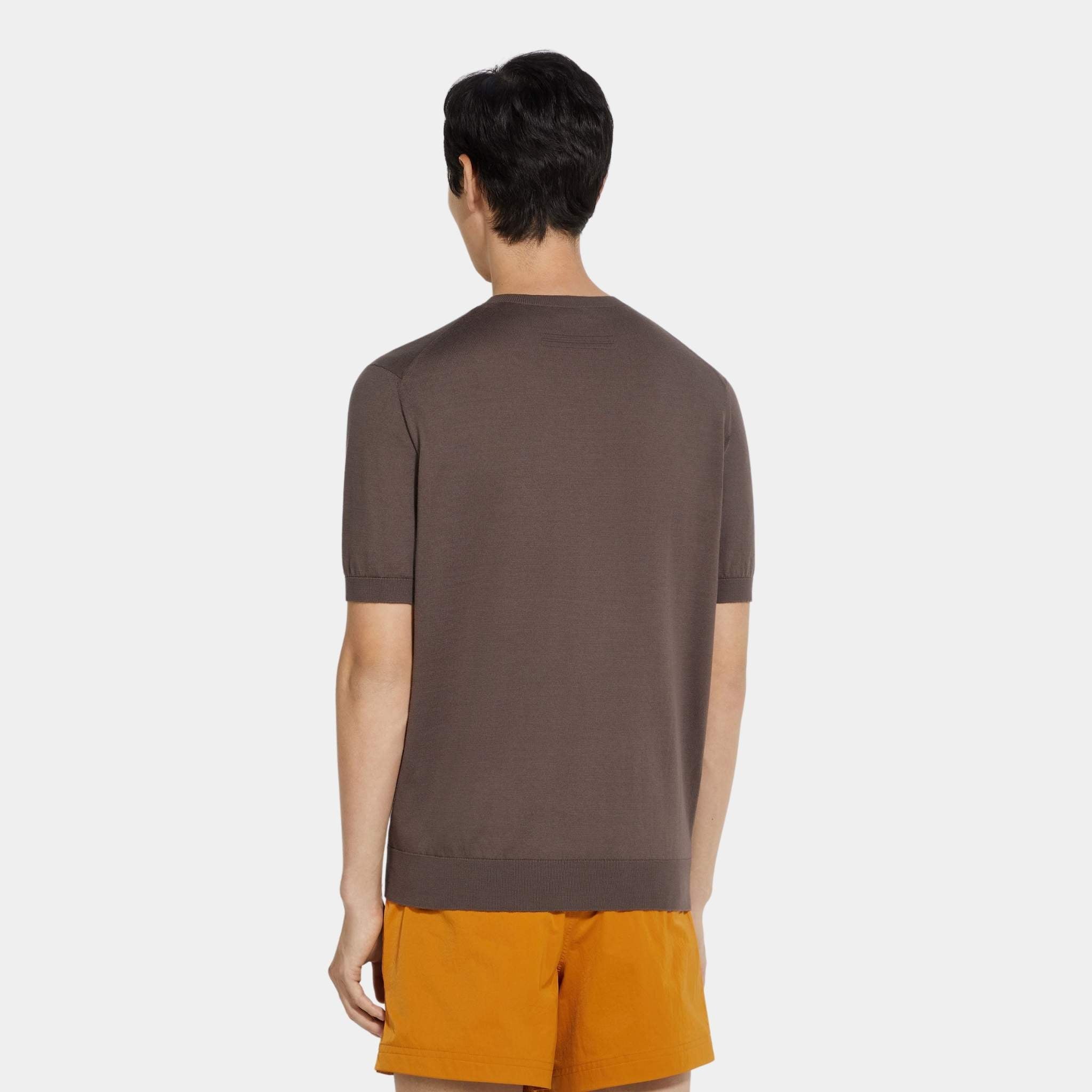 Zegna Premium Cotton Crewneck T-shirt, Light Taupe, Back