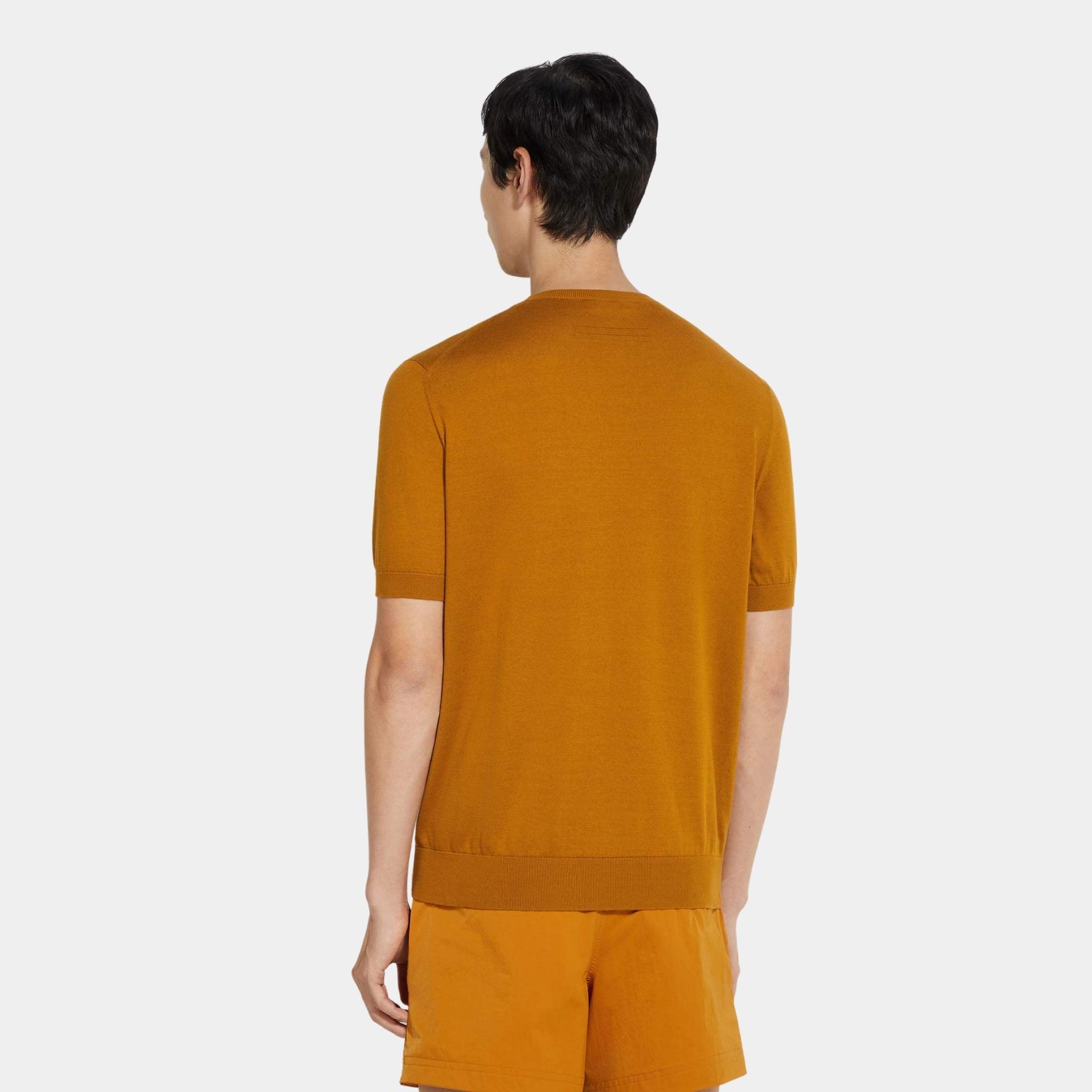 Zegna Premium Cotton Crewneck T-shirt, Ochre, Back